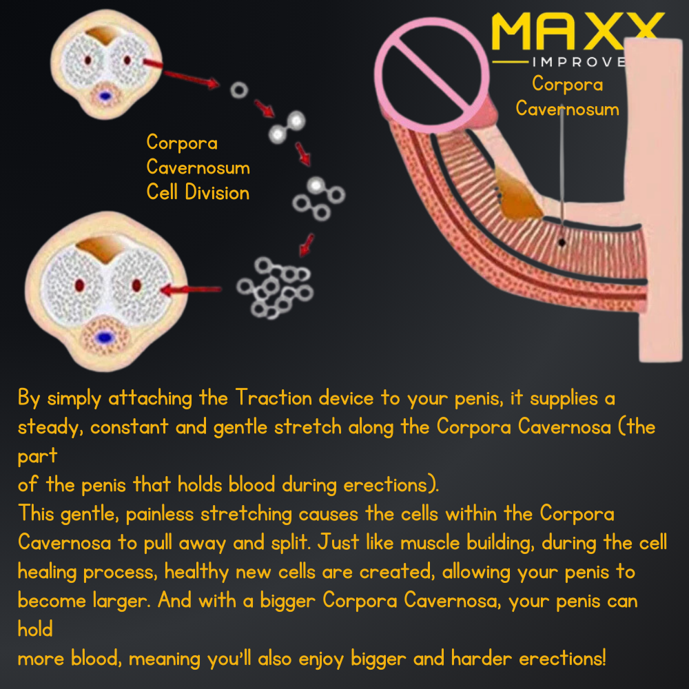 MAXX IMPROVE Penis Extender With Clamp Stretcher - Maxx Improve